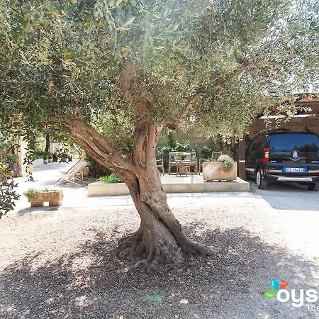 Bed & Breakfast Santa Venardia