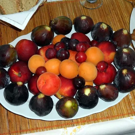 Bed & Breakfast Santa Venardia Gallipoli