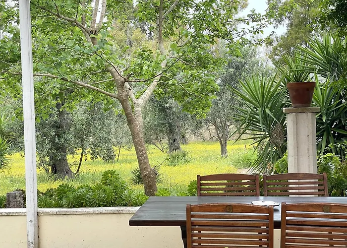 Santa Venardia Gallipoli